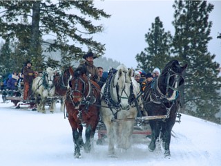 Bogus Creek Outfitters in Boise, Idaho.