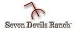 Seven Devils Lodge located in Council