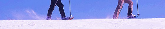 Snowshoe Promotions, specials, packages and Deals