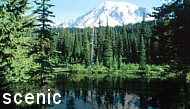 Scenic Tour Deals and specials