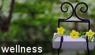 Wellness Deals and specials