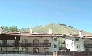 Edelweiss vacation rental property