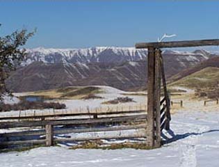 Winter View
