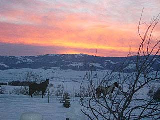 Picture of the Elkhorn Bed & Breakfast in Council, Idaho