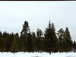 Bear Country vacation rental property