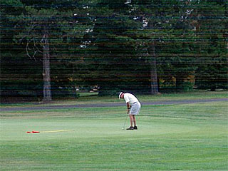 Picture of the Birch Green Cabin in McCall, Idaho