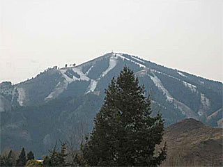 Picture of the Cottonwood in Sun Valley, Idaho