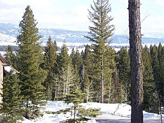 Picture of the Canoe 28 Tamarack in Donnelly, Idaho