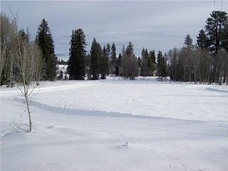 Picture of the Sawtooth 378 (Forest Creek) in Donnelly, Idaho