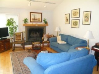 Leadville Condominiums vacation rental property