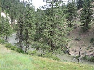 Picture of the Southfork Overlook Cabin in Garden Valley, Idaho