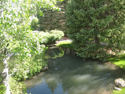 Picture of the Cottonwood in Sun Valley, Idaho