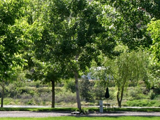 Picture of the Swiftwater RV Park in White Bird, Idaho