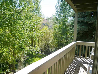 Picture of the Cottonwood in Sun Valley, Idaho