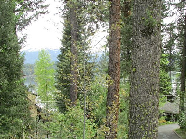 Picture of the Sharlies Nest in McCall, Idaho