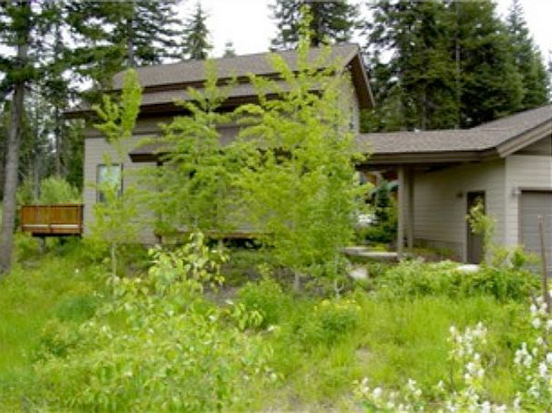 Picture of the Aspen Green in McCall, Idaho