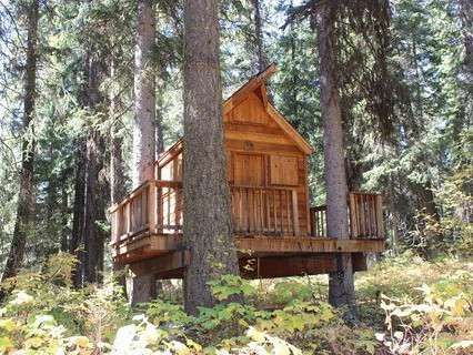 Picture of the The Back Cabin in McCall, Idaho