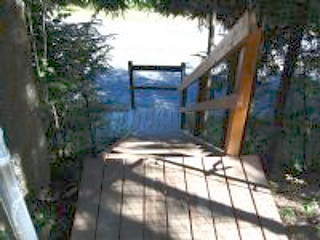 Picture of the Honeysuckle  in Hayden, Idaho
