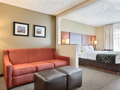 Picture of the Comfort Suites Boise Airport in Boise, Idaho