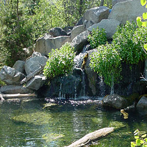Alpine Lake