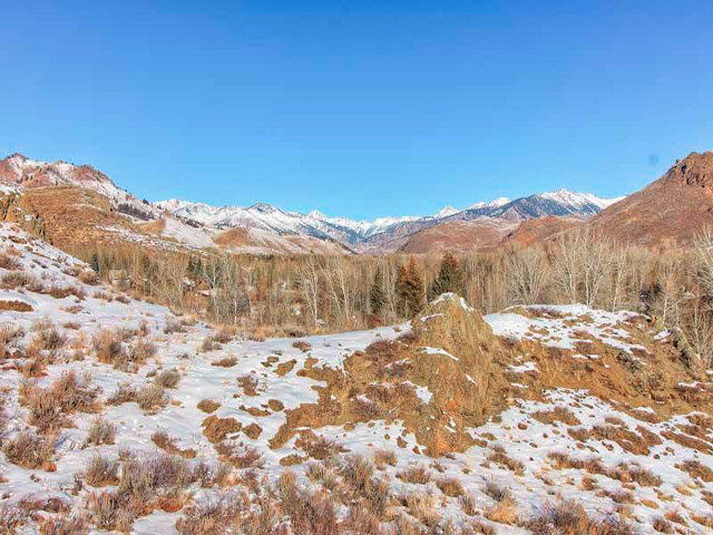 Picture of the Riverwoods Home # 106 in Sun Valley, Idaho