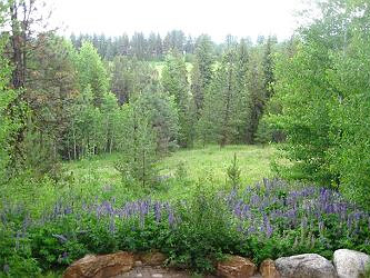 Picture of the Serenity Lodge in McCall, Idaho