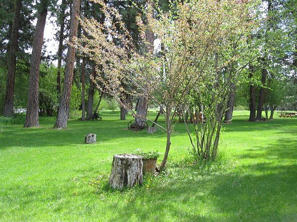 Picture of the Riverside Park Cabin in Garden Valley, Idaho