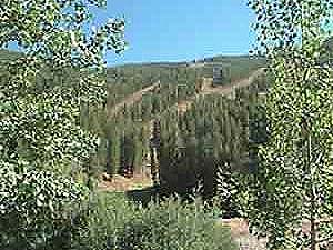 Picture of the Pinnacle Townhomes in Sun Valley, Idaho