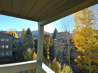 Picture of the Cottonwood in Sun Valley, Idaho