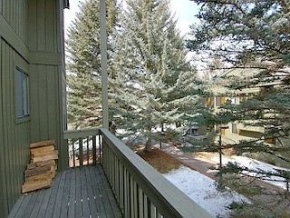 Picture of the Cottonwood in Sun Valley, Idaho