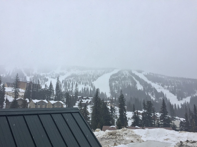Picture of the Black Bear Condos in Sandpoint, Idaho