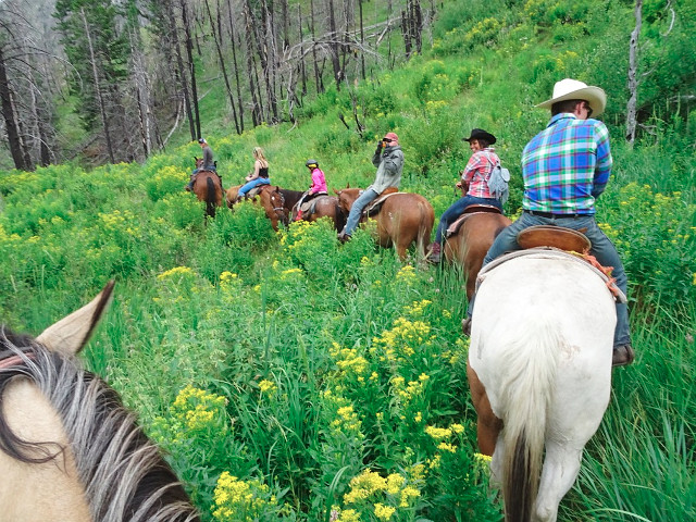 Picture of the Diamond D Ranch in Stanley, Idaho