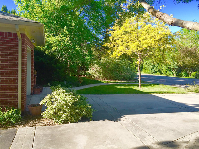 Picture of the The Laurel House in Boise, Idaho