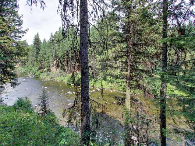 Picture of the Huckleberry Riverfront Cabin in McCall, Idaho