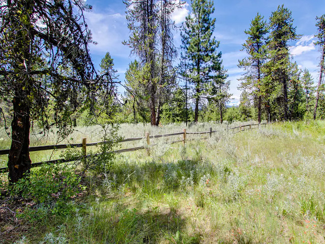 Picture of the Strawberry Log Cabin Retreat in McCall, Idaho