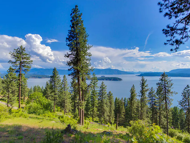 Picture of the Mackinaw Getaway in Sandpoint, Idaho