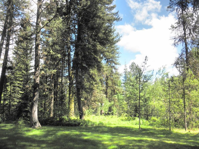 Picture of the Bear Lodge in McCall, Idaho