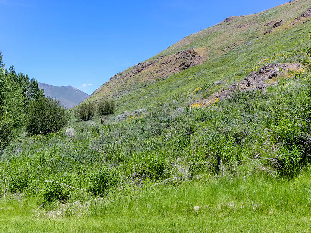 Picture of the Baldy Views in Sun Valley, Idaho