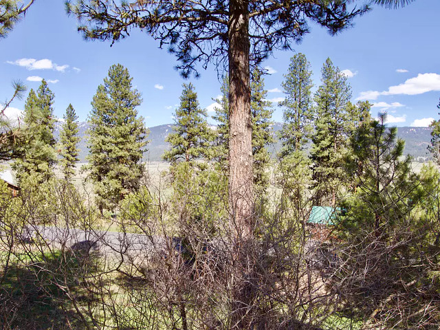 Picture of the Camas Family Cabin in New Meadows, Idaho