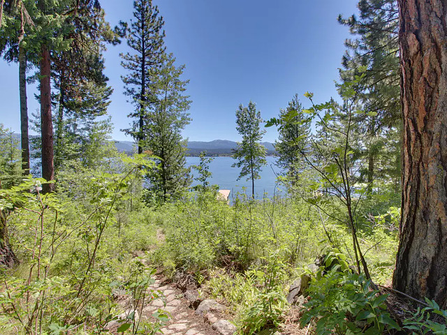 Picture of the Avery West Shore in McCall, Idaho