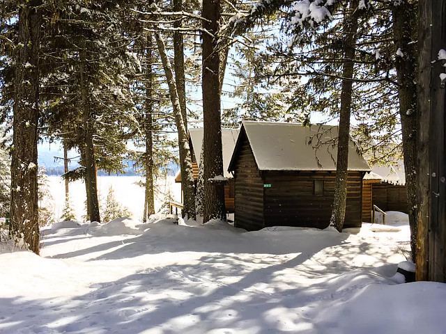 Picture of the Avery West Shore in McCall, Idaho