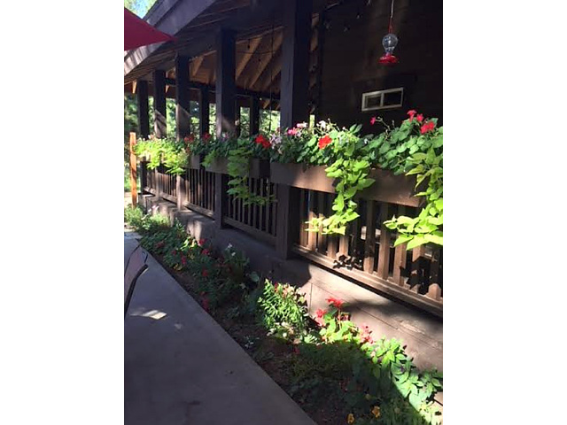 Picture of the Conifer Lodge in McCall, Idaho