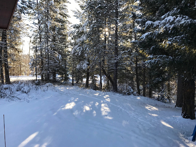 Picture of the Jenkins in McCall, Idaho