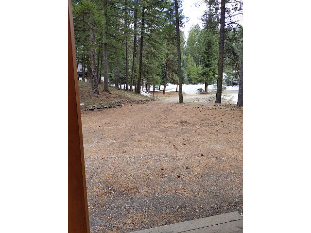 Picture of the Deer Trail (Tall Timbers) in McCall, Idaho