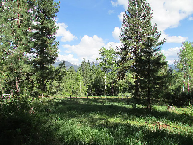 Picture of the Elo Cabin in McCall, Idaho