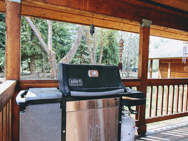 Picture of the Turner Lane Cabin in McCall, Idaho