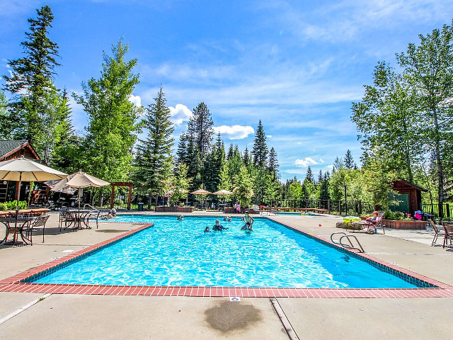 Picture of the Bellflower Pines in McCall, Idaho