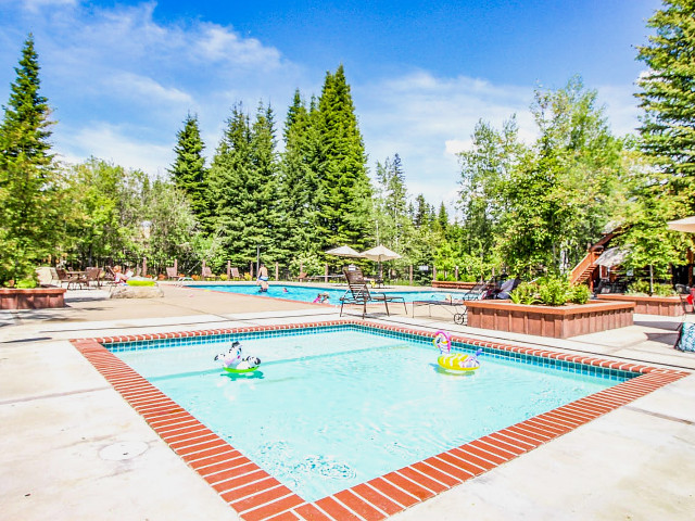 Picture of the Bellflower Pines in McCall, Idaho