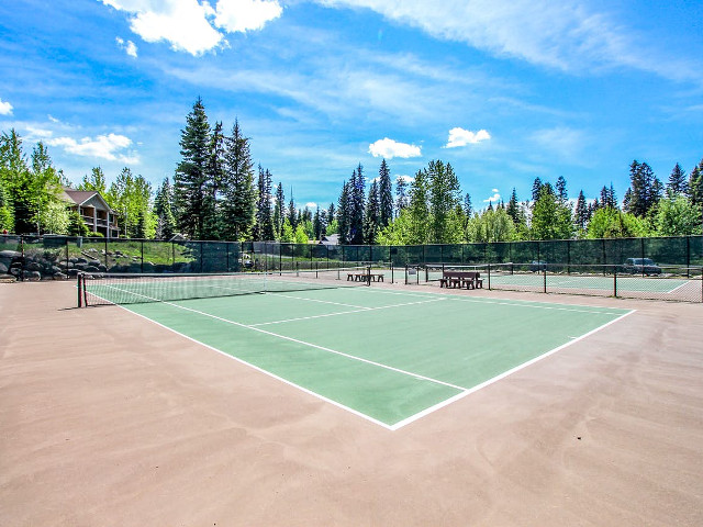 Picture of the Bellflower Pines in McCall, Idaho