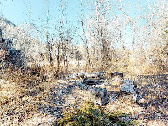 Picture of the Ketchum Cabin on the Big Wood River in Sun Valley, Idaho